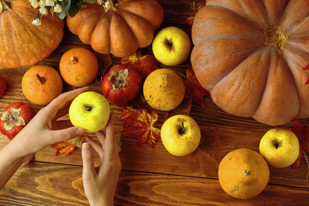 Un montón de calabazas y manzanas.