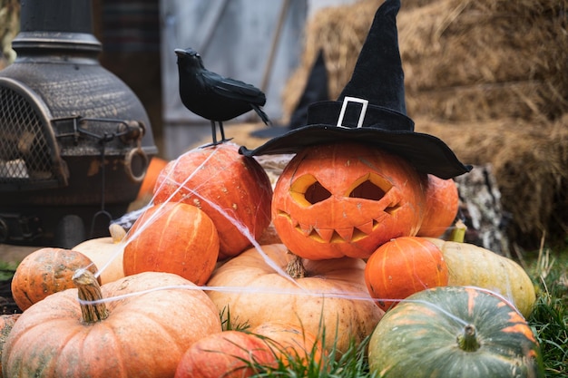 Montón de calabazas naranjas para halloween gran cuervo negro sombrero de mago jackolantern con ojos tallados aterradoresboca Pajar en graneroDecoración de la calleentretenimiento para niños horror