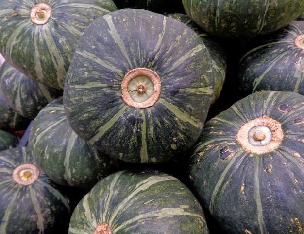 Montón de calabazas tropicales verde oscuro en el mercado