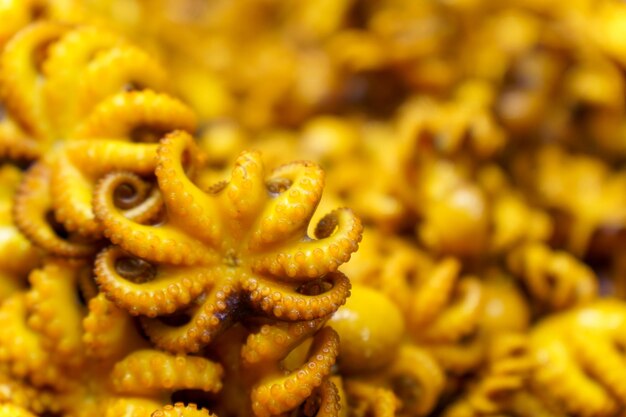 Un montón de calamares fritos amarillos