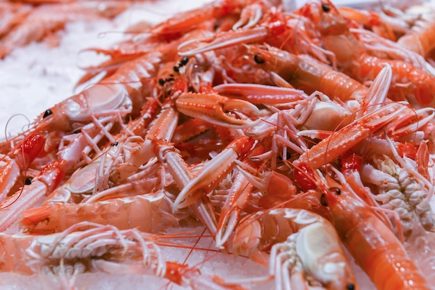 Un montón de camarones crudos de naranja se encuentra en el hielo frío del refrigerador del mercado de alimentos delicioso