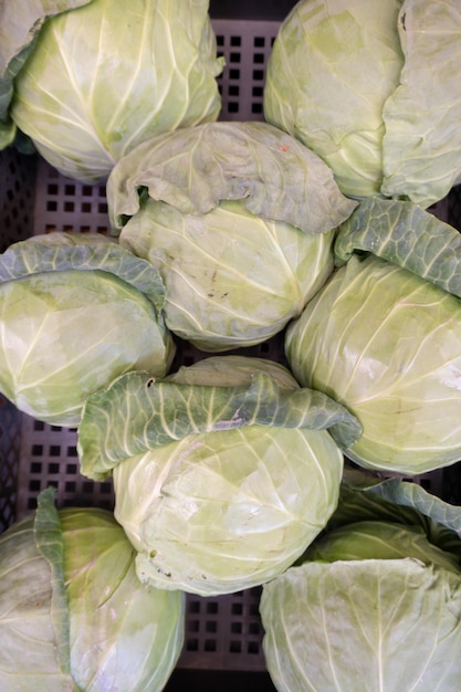 Montón de cambios de repollo blanco en el mercado