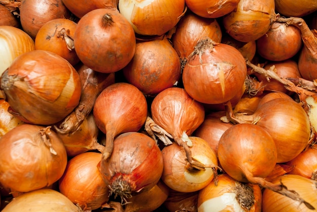 un montón de cebollas amarillas cebollas amarillas cerrar Cebollas grandes doradas en el mercado del mostrador