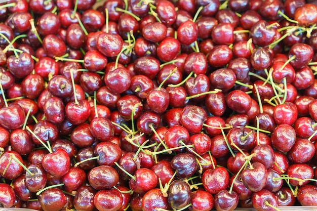 Un montón de cerezas frescas y maduras