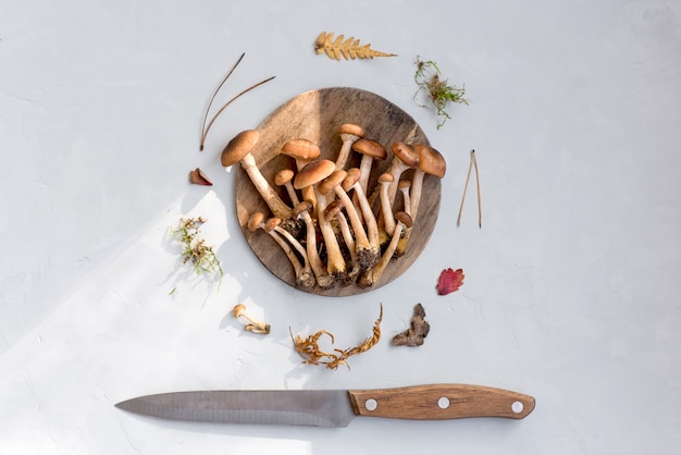 Un montón de champiñones frescos y crudos en un plato redondo de madera con un cuchillo