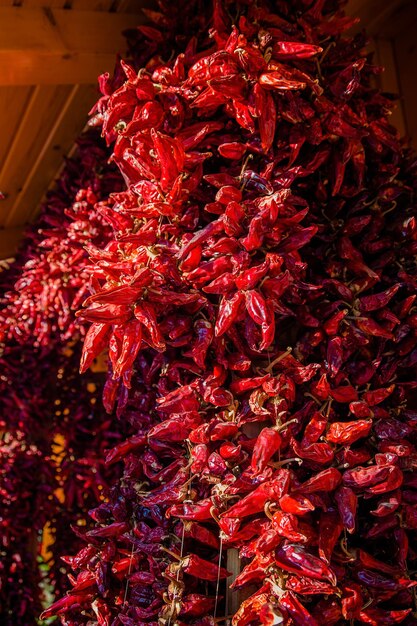 Foto montón de chiles colgando