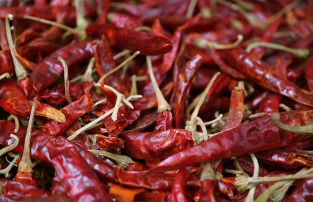 Montón de chiles rojos secos