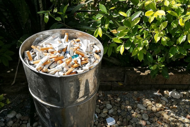 Un montón de cigarrillos en la arena en el cubo delante del inodoro