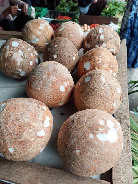 Foto montón de cocos en el mercado de alimentos