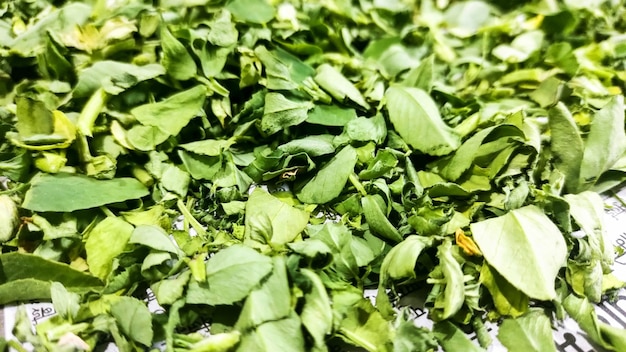 Montón de condimento de hojas secas de fenogreco de color verde