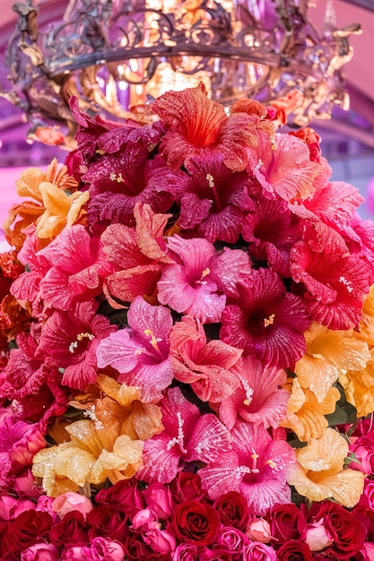 Un montón de flores de hibisco confitadas