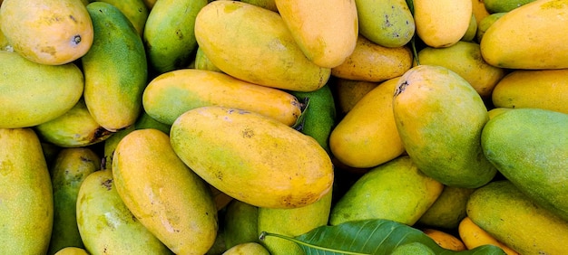 Montón de fondo de mangos amarillos maduros frescos