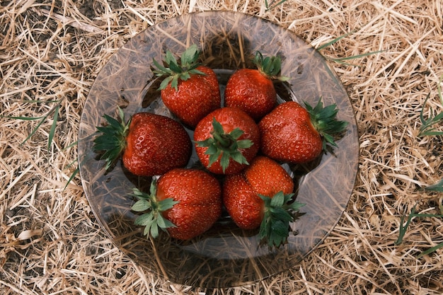 Un montón de fresas jugosas maduras en un plato sobre un fondo de heno vista desde arriba producto saludable de la dieta