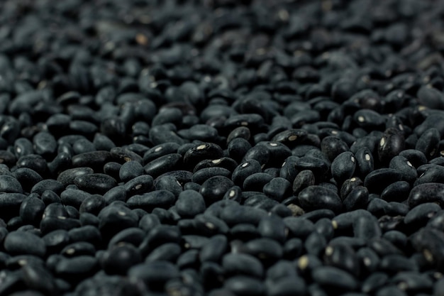 Montón de frijol negro a granel agricultura y gastronomía mexicana