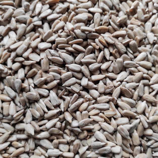 Foto un montón de grano que tiene semillas en él