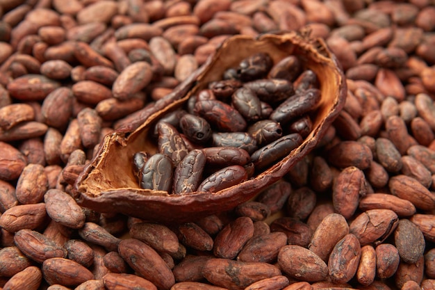 Montón de granos de cacao aromáticos crudos