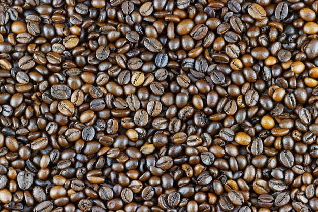 Montón de granos de café