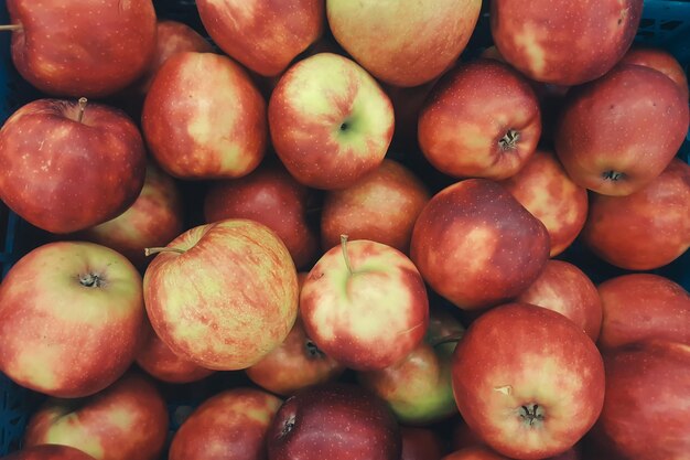 Un montón de hermosas manzanas frescas en el mostrador de la tienda