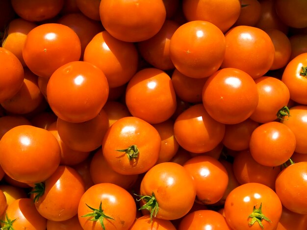 Foto un montón de hermosos tomates en un mostrador