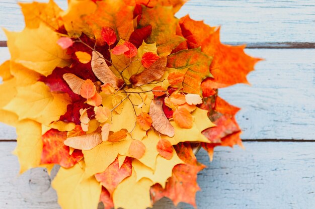 Un montón de hojas secas de arce otoñal rojo y amarillo y ramitas de otoño sobre un fondo de madera azul