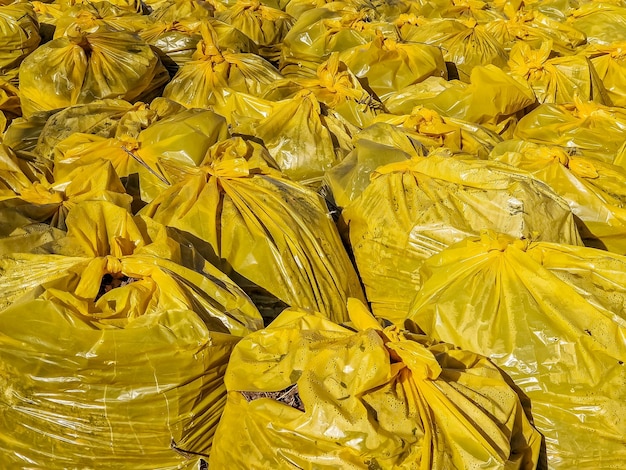 Montón de hojas secas recogidas en grandes bolsas de plástico blancas en el césped en el patio trasero Eliminación de basura de follaje de otoño o primavera en el parque Eliminación de limpieza de residuos naturalesContaminación por desastre ambiental