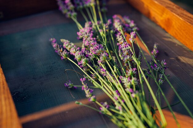 Montón de lavanda seca en la mesa de madera vintage