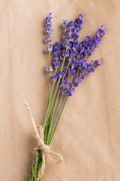 Montón de lavanda sobre papel