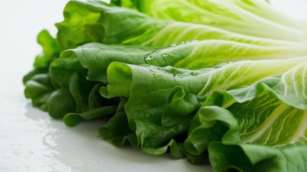 un montón de lechuga que está en una mesa