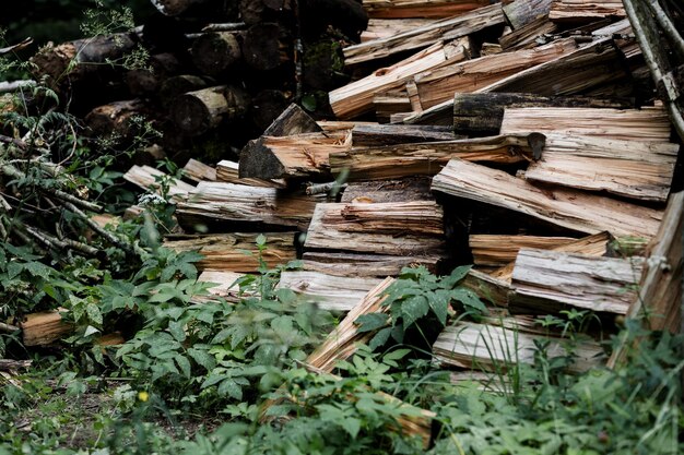 Montón de leña apilada preparada para calentar la casa Leña apilada y preparada para el invierno Montón de troncos de madera