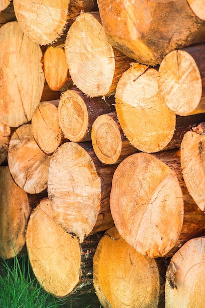 Foto montón de madera formando una pared. problemas de ecología y deforestación en la naturaleza.