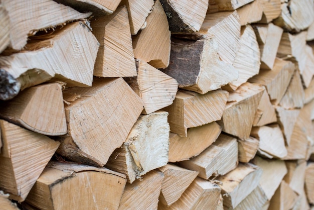 Montón de madera formando una pared. Problemas de ecología y deforestación en la naturaleza.