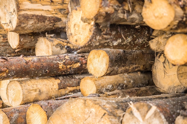 Foto montón de madera formando una pared. problemas de ecología y deforestación en la naturaleza.