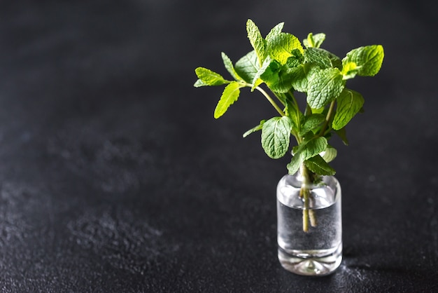 Montón de menta fresca en el florero de vidrio