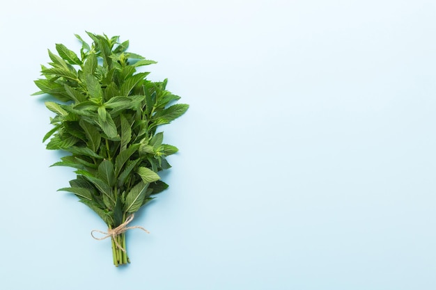 Montón de menta fresca en la mesa de colores Vista superior con espacio de copia