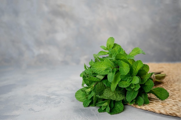 Un montón de menta, menta verde, menta atada con hilo sobre un fondo gris. hojas con sabor a menta. Manojo de menta. menta BIO.