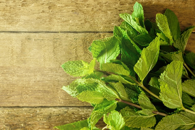 Montón de menta en mesa de madera