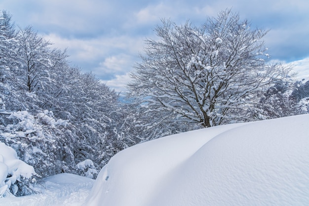 entre un montón de nieve