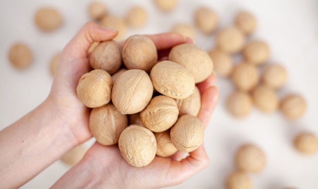 Un montón de nueces enteras en manos de mujeres sobre un fondo blanco de cerca. Alimentos orgánicos y saludables con un alto contenido en proteínas y proteínas.