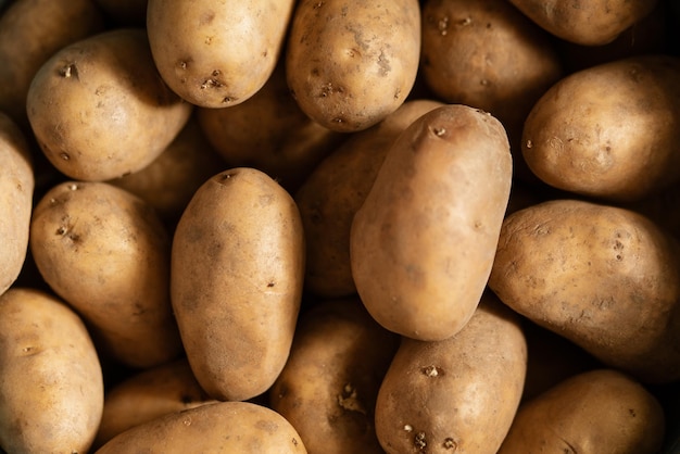 Un montón de patatas con brotes concepto patata huerta agricultura agricultura