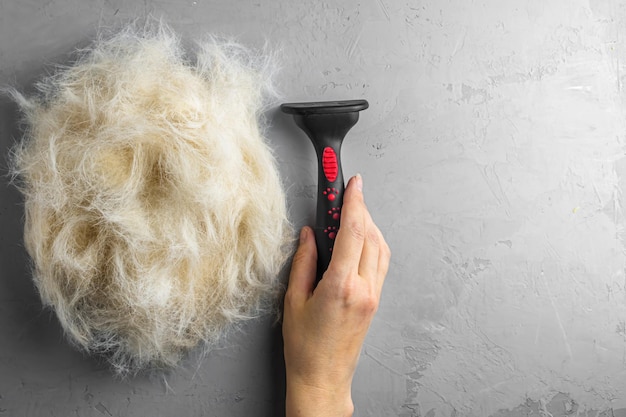 Montón de pelo de perro después del aseo. muda de primavera. herramienta de derramamiento de asimiento de mano de mujer. Pelo peinado del perro con cepillo. Fondo de hormigón gris con espacio de copia