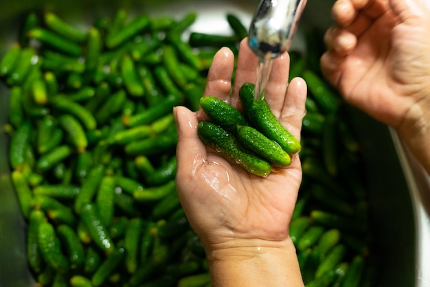 Foto montón de pepinillos verdes cornichon en la mano