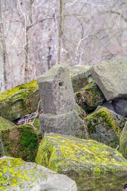 montón de piedra a principios de la primavera