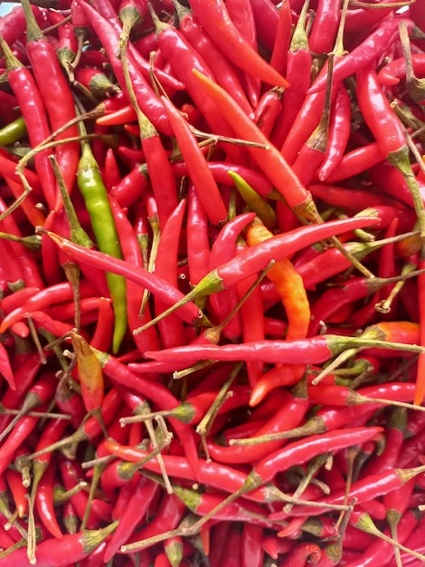 Un montón de pimientos rojos frescos para platos picantes y picantes.