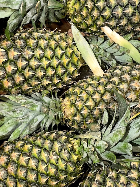 Un montón de piñas con la palabra piña en la parte superior.