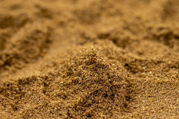Montón de polvo de cilantro como especia de fondo o condimento como fondo Polvo de cilantro de primer plano