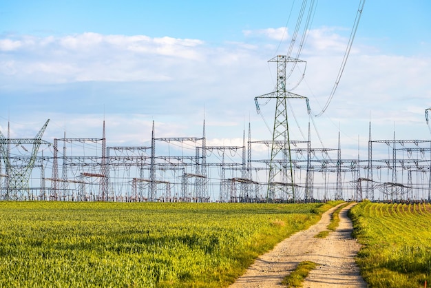 Un montón de postes eléctricos y líneas eléctricas