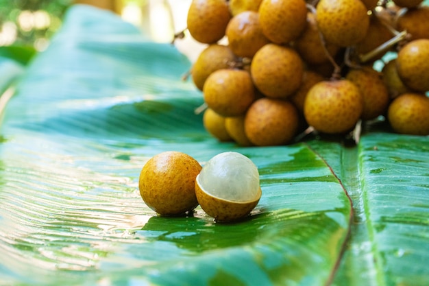 Un montón de ramas de longan sobre un fondo de hoja de plátano verde. Vitaminas, frutas, alimentos saludables.