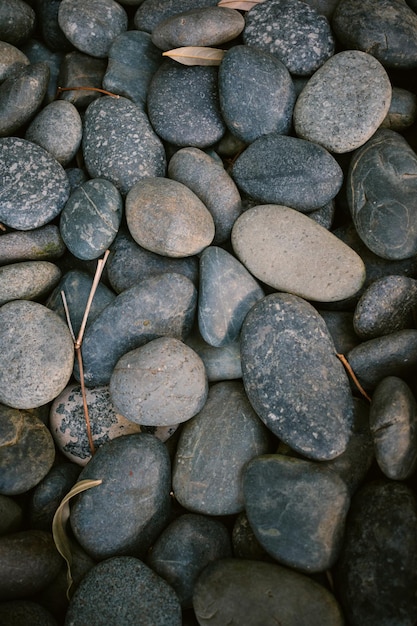 Un montón de rocas con una hoja