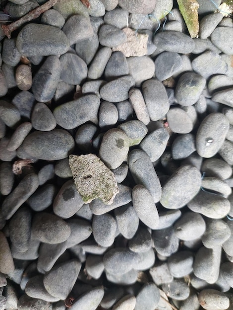 Montón de rocas con musgo verde sobre ellas