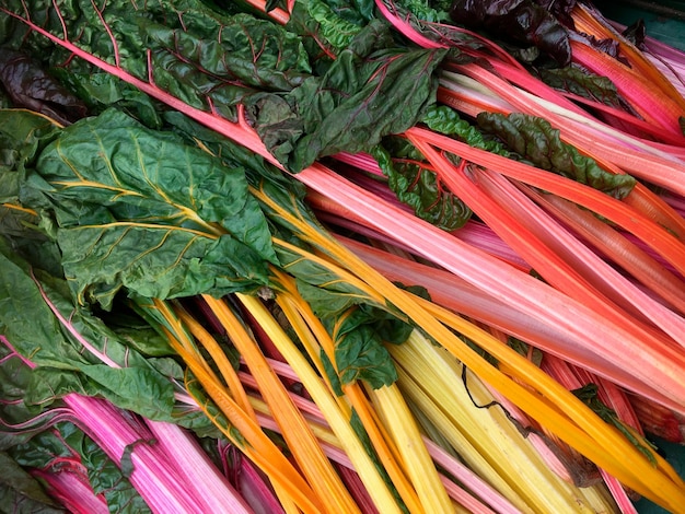 Foto un montón de ruibarbo de color arcoíris está sobre una mesa.